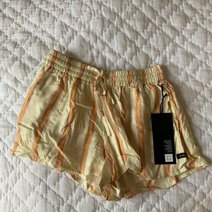 Pacsun Striped Shorts